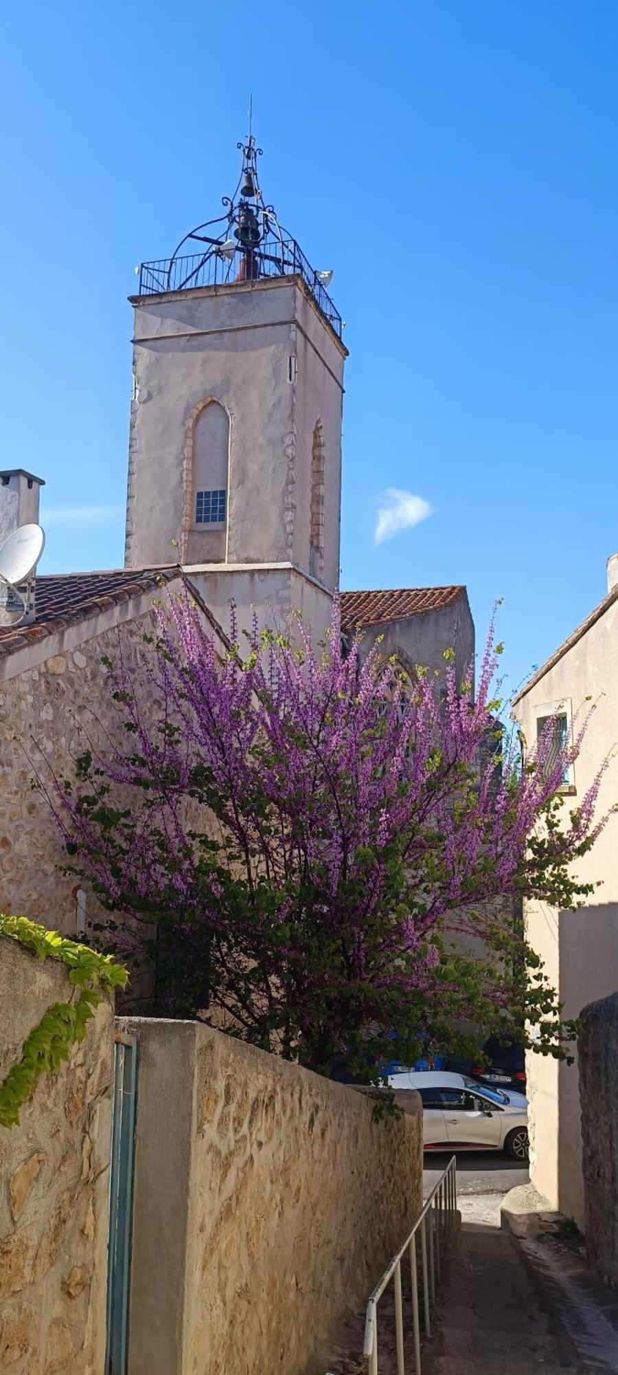 Gite La Capelle Roquefort Des Corbieres Sigean Narbonne Aude エクステリア 写真